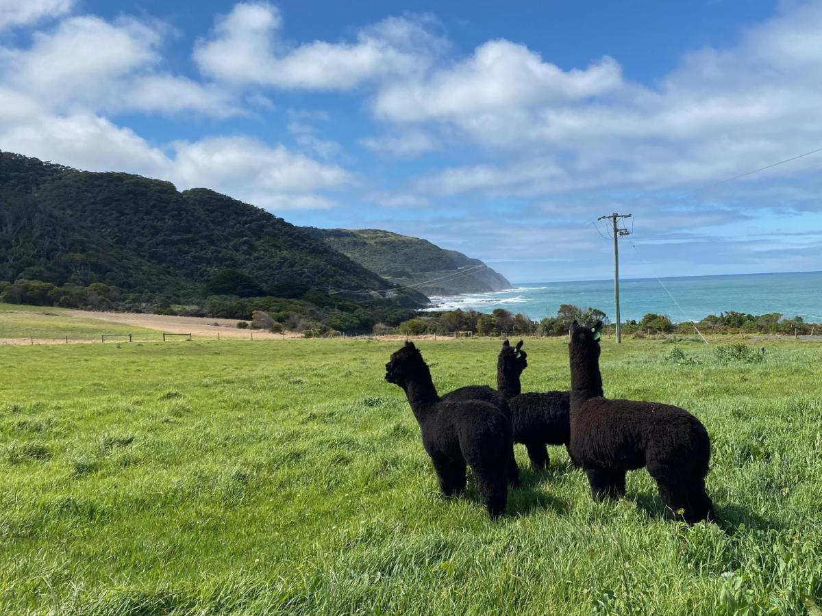 Seacroft Estate Hotel Wongarra Bagian luar foto